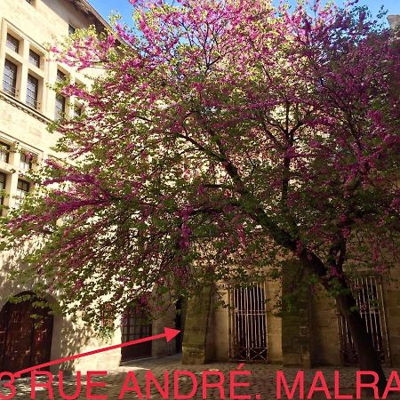 Appartement A 50 M De La Place Aux Herbes Uzès Esterno foto