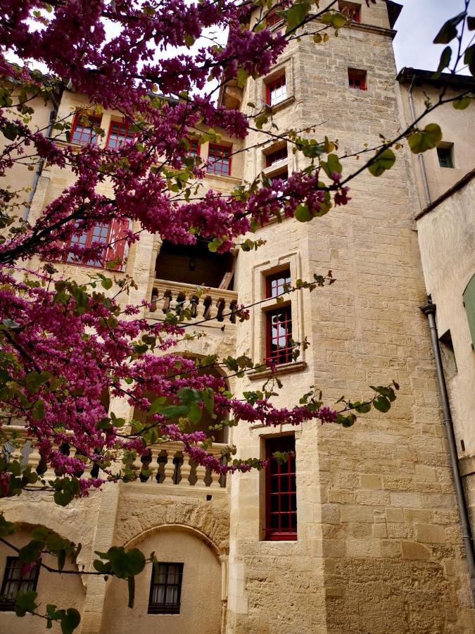 Appartement A 50 M De La Place Aux Herbes Uzès Esterno foto